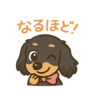 ゆるかわダックスフンド「くうる」（個別スタンプ：2）