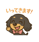 ゆるかわダックスフンド「くうる」（個別スタンプ：3）