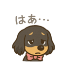ゆるかわダックスフンド「くうる」（個別スタンプ：5）