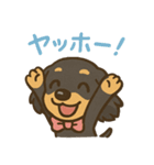 ゆるかわダックスフンド「くうる」（個別スタンプ：6）