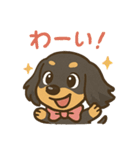 ゆるかわダックスフンド「くうる」（個別スタンプ：7）