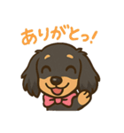 ゆるかわダックスフンド「くうる」（個別スタンプ：10）