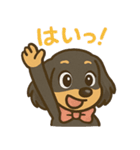 ゆるかわダックスフンド「くうる」（個別スタンプ：12）