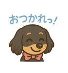 ゆるかわダックスフンド「くうる」（個別スタンプ：16）