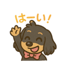 ゆるかわダックスフンド「くうる」（個別スタンプ：17）