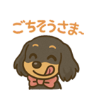 ゆるかわダックスフンド「くうる」（個別スタンプ：18）