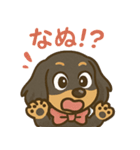 ゆるかわダックスフンド「くうる」（個別スタンプ：19）