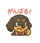 ゆるかわダックスフンド「くうる」（個別スタンプ：22）