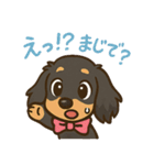 ゆるかわダックスフンド「くうる」（個別スタンプ：26）