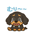 ゆるかわダックスフンド「くうる」（個別スタンプ：31）