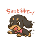ゆるかわダックスフンド「くうる」（個別スタンプ：33）