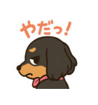 ゆるかわダックスフンド「くうる」（個別スタンプ：34）