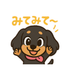 ゆるかわダックスフンド「くうる」（個別スタンプ：35）