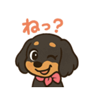 ゆるかわダックスフンド「くうる」（個別スタンプ：36）