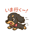 ゆるかわダックスフンド「くうる」（個別スタンプ：39）