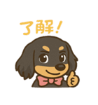 ゆるかわダックスフンド「くうる」（個別スタンプ：40）