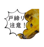 くれseason1（個別スタンプ：7）