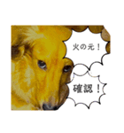 くれseason1（個別スタンプ：8）