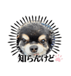 ボクとみお1（個別スタンプ：5）