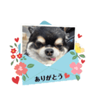 ボクとみお1（個別スタンプ：8）