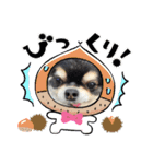ボクとみお1（個別スタンプ：10）