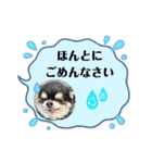 ボクとみお1（個別スタンプ：13）