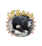ボクとみお1（個別スタンプ：14）