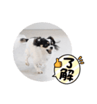 おーぴースタンプ（個別スタンプ：1）