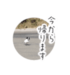 おーぴースタンプ（個別スタンプ：7）