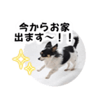 おーぴースタンプ（個別スタンプ：14）