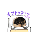 テトの日常すたんぷ（個別スタンプ：13）