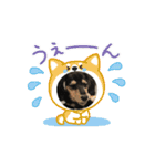 テトの日常すたんぷ（個別スタンプ：14）