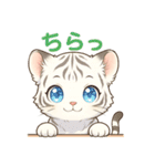白虎ちゃんの癒し系リアクションスタンプ（個別スタンプ：6）
