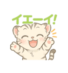 白虎ちゃんの癒し系リアクションスタンプ（個別スタンプ：27）