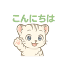 白虎ちゃんの癒し系リアクションスタンプ（個別スタンプ：31）