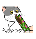 猫あるある（ハチワレ灰色猫／短毛）（個別スタンプ：4）