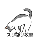 猫あるある（ハチワレ灰色猫／短毛）（個別スタンプ：15）