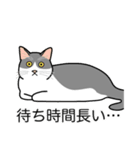 猫あるある（ハチワレ灰色猫／短毛）（個別スタンプ：22）
