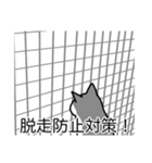 猫あるある（ハチワレ灰色猫／短毛）（個別スタンプ：27）