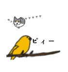 猫あるある（ハチワレ灰色猫／短毛）（個別スタンプ：29）