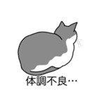 猫あるある（ハチワレ灰色猫／短毛）（個別スタンプ：31）