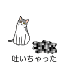 猫あるある（ハチワレ灰色猫／短毛）（個別スタンプ：33）