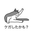 猫あるある（ハチワレ灰色猫／短毛）（個別スタンプ：34）