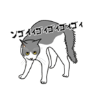 猫あるある（ハチワレ灰色猫／短毛）（個別スタンプ：37）