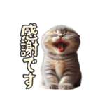 AIタフィ（個別スタンプ：1）