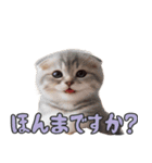 AIタフィ（個別スタンプ：3）