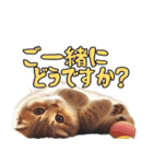 AIタフィ（個別スタンプ：10）