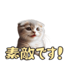 AIタフィ（個別スタンプ：17）
