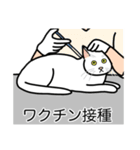 猫あるある（白猫／短毛／ゴールド）（個別スタンプ：9）