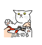 猫あるある（白猫／短毛／ゴールド）（個別スタンプ：11）